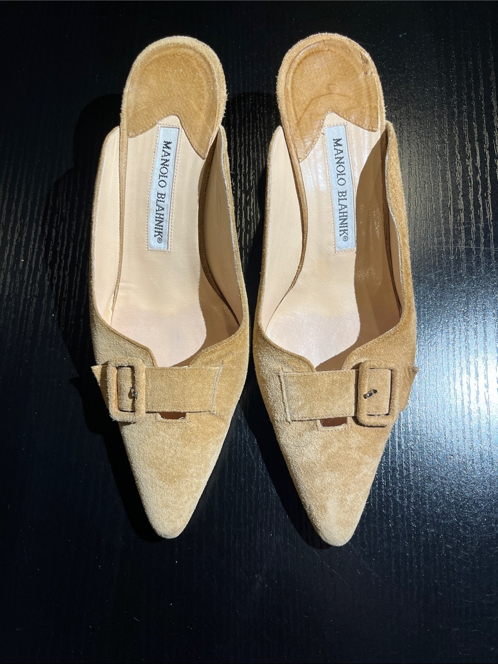 Manolo Blahnik Tan Suede Pointed-Toe Mule